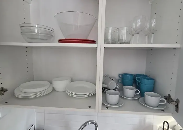 Palm Breeze - Americas *